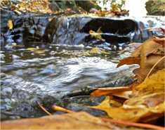 手机号压测网站